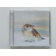 Klangkarussell – Netzwerk (CD)