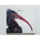 Solomun – Watergate 11 (CD)