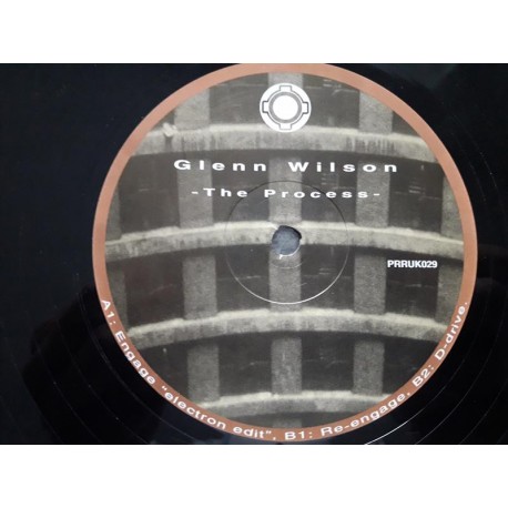 Glenn Wilson ‎– The Process