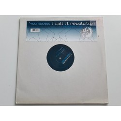 Youniverse ‎– I Call It Revolution