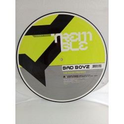 Bad Boyz – The Remix Project (12", picture)