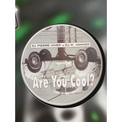 DJ Pierre Hiver vs DJ M. Hammer – Are You Cool? (12")