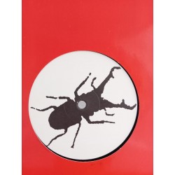 Insekte – Ich Glaube An Die Liebe (12")